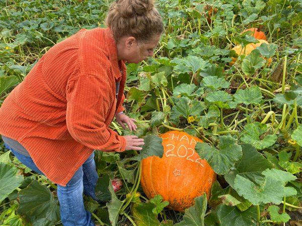 Sharla Dressler points out the pumpkin carved with the Schaake last name and year.  
