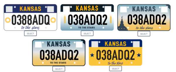 Voters have until Friday to choose their favorite plate from five designs.