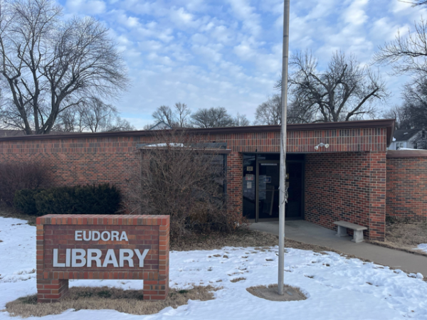 The library board reviewed a draft audit report for 2023 at its meeting Tuesday and noted a few areas they needed to adjust.