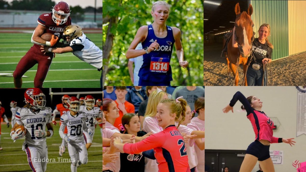 Clockwise from top left, seniors Errol Siemon, Hanna Keltner, Kyleigh Heikes, Addy Hemphill, Miranda Kuntz and Christian Jarrett will all play their sport at the college level next year. 
