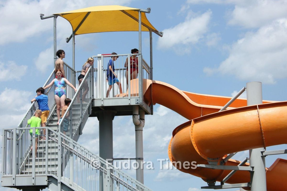 Pool renovations, indoor pickleball courts among Parks improvement ideas