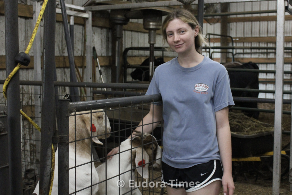 Abby Brown will show two goats, Shrek and Fiona, along with a lamb and cattle. 