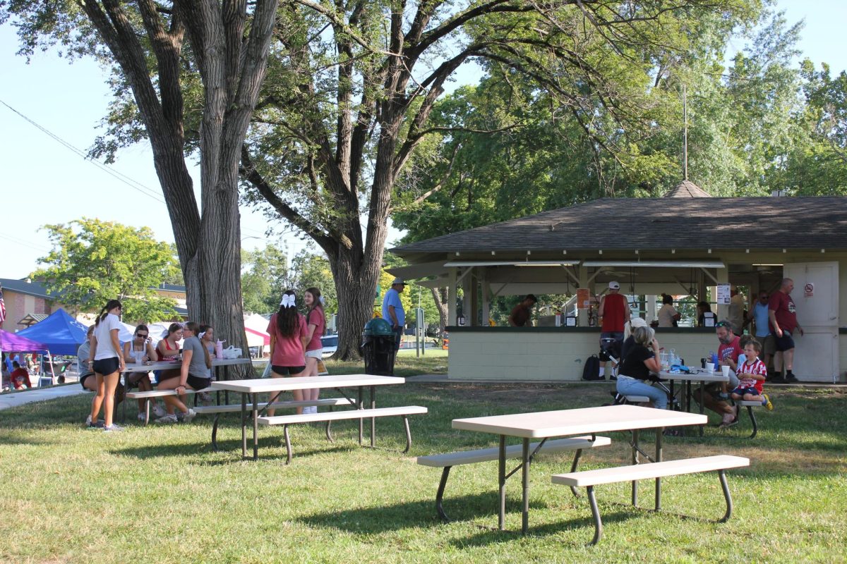 Improvement plans for city parks include veterans memorial garden, more shade