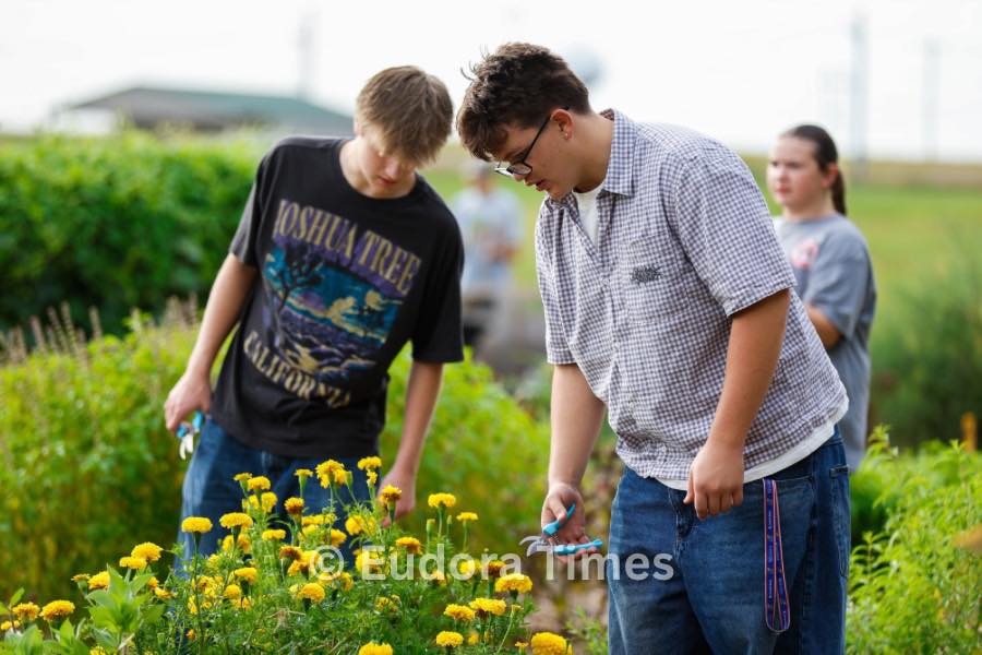 Giving at the garden
