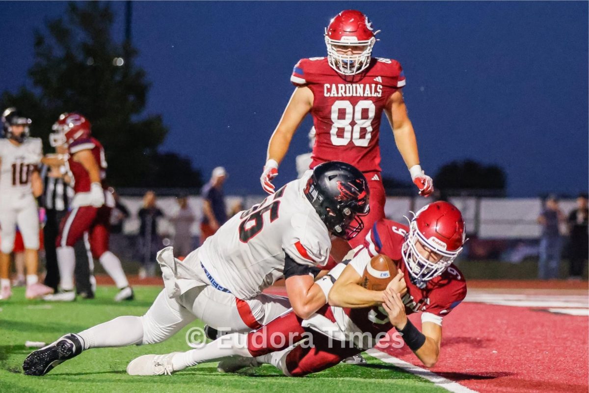 Cardinals take down Ottawa