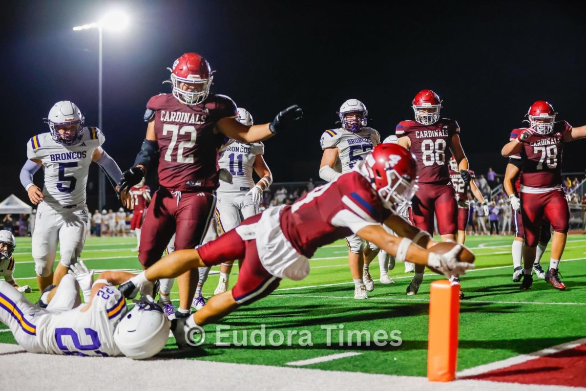 Cardinals top Spring Hill in home opener