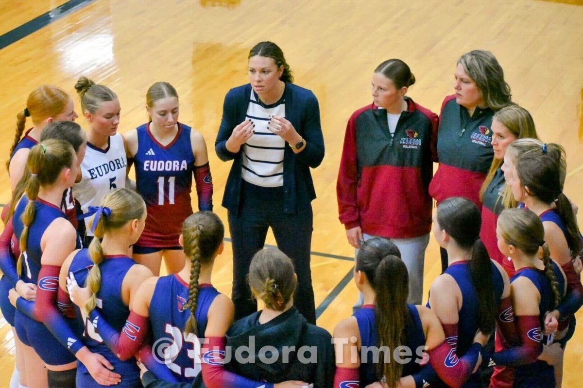 Volleyball falls to Hayden at substate