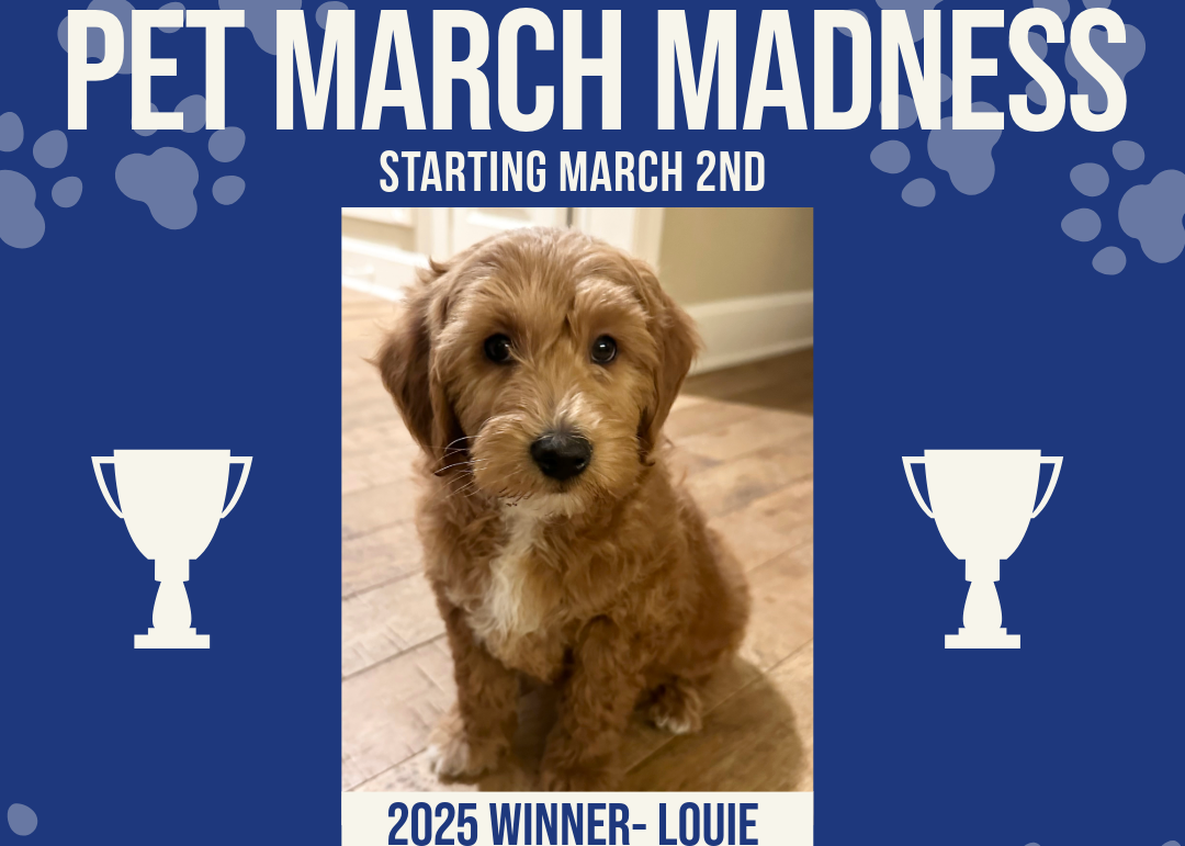 Louie, the 2025 winner