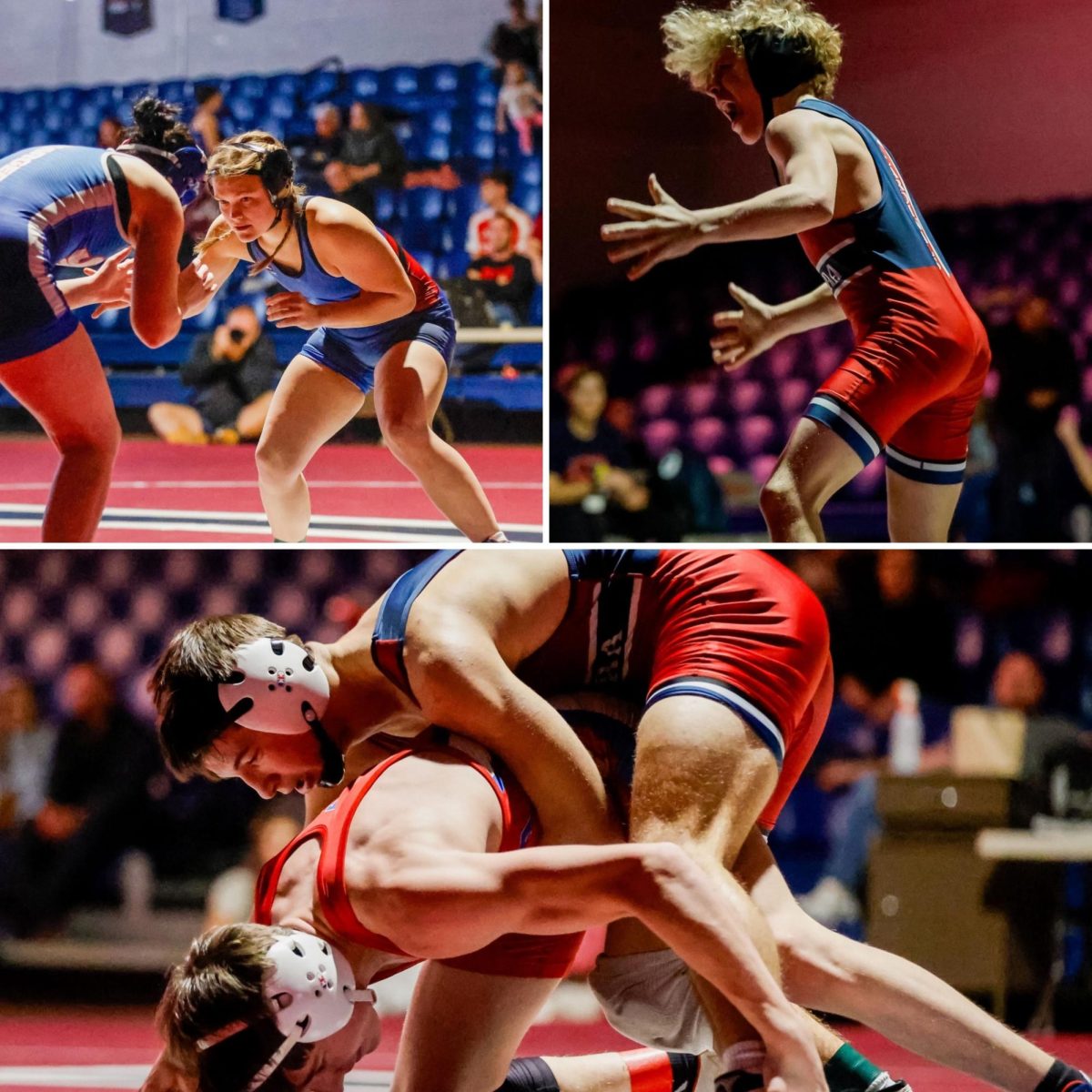 Nine wrestlers headed to state